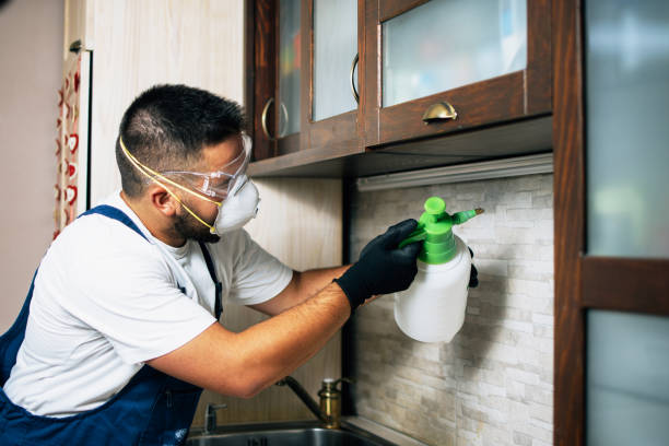 Best Bed Bug Extermination  in Pepperdine University, CA