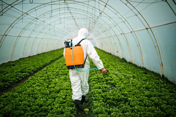 Professional Pest Control in Pepperdine University, CA