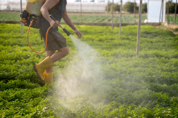 Best Best Pest Control Companies  in Pepperdine University, CA
