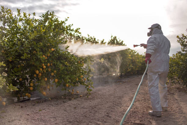 Best Exterminator Services  in Pepperdine University, CA
