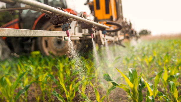 Best Mosquito Control Services  in Pepperdine University, CA
